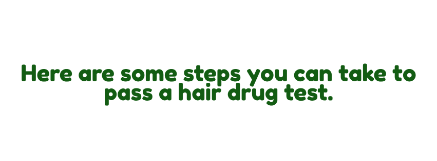 Here are some steps you can take to pass a hair drug test